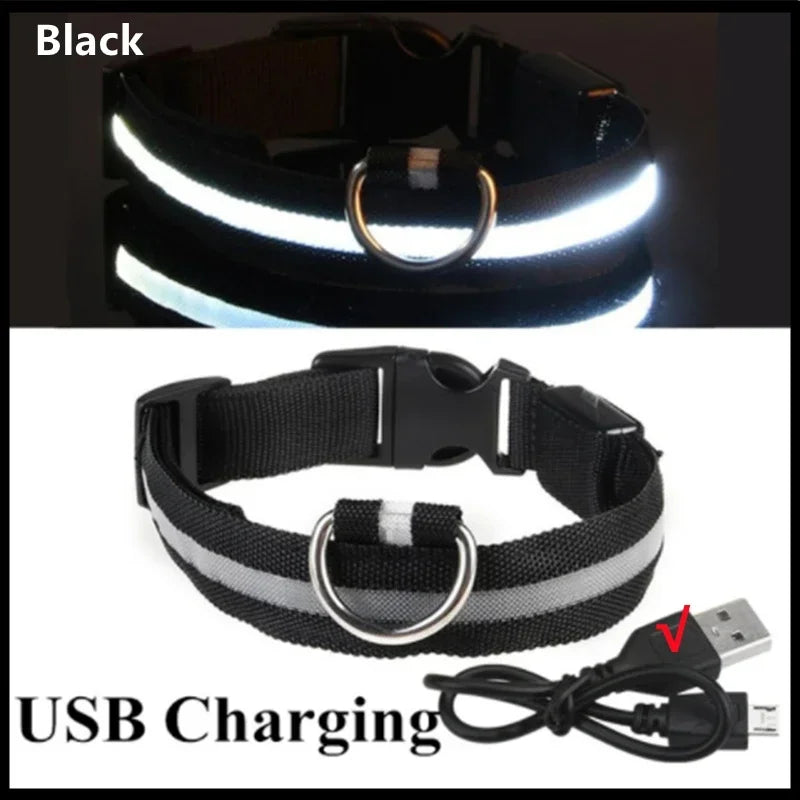 Red LED dog collar by FanzyMarket with 3-mode USB rechargeable glow light, adjustable waterproof safety collar for cats and dogs.