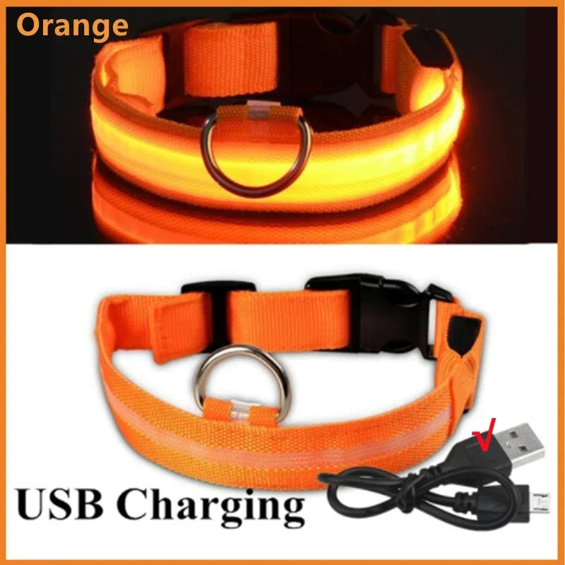 Red LED dog collar by FanzyMarket with 3 modes, USB rechargeable or battery, waterproof, adjustable for night safety.