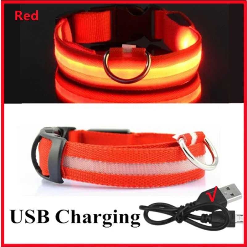 Red LED dog collar by FanzyMarket with adjustable waterproof design, featuring 3-mode USB rechargeable glow light for night safety.