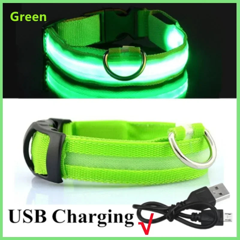 Red LED dog collar by FanzyMarket with 3 modes, USB rechargeable, waterproof, adjustable, and glow light for night safety.