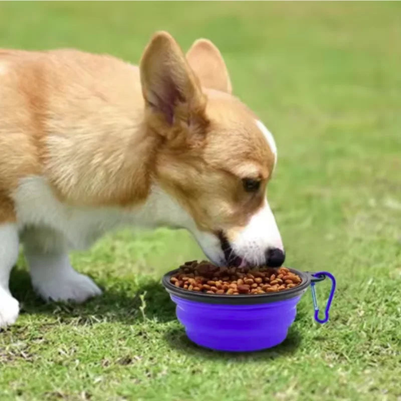 Green collapsible TPR travel pet bowl for dogs and cats, showing the portable, foldable design with 650ml capacity.