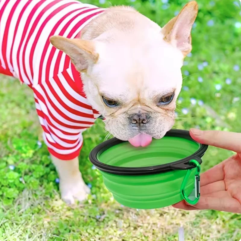 Green collapsible TPR travel pet bowl for dogs and cats, showing the portable design with 650ml capacity.