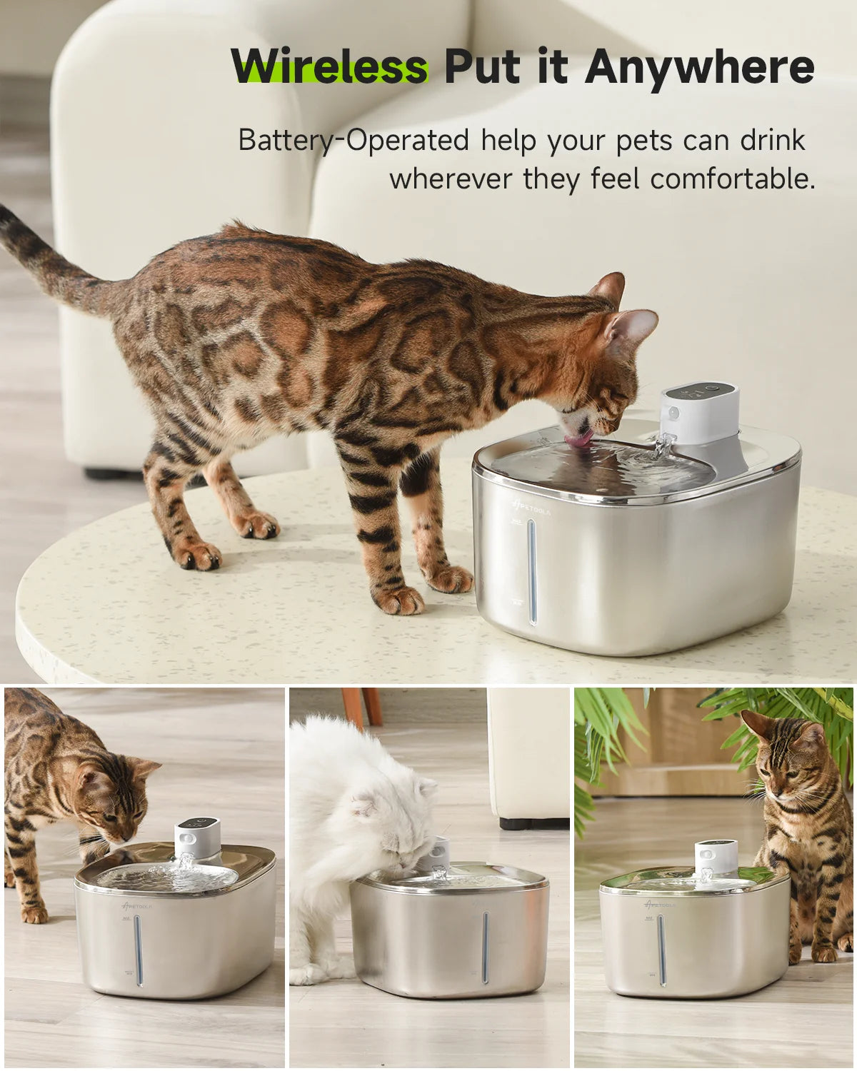 FanzyMarket 4L stainless steel pet water fountain with auto-sensor, USB-C recharge, suitable for cats and dogs.