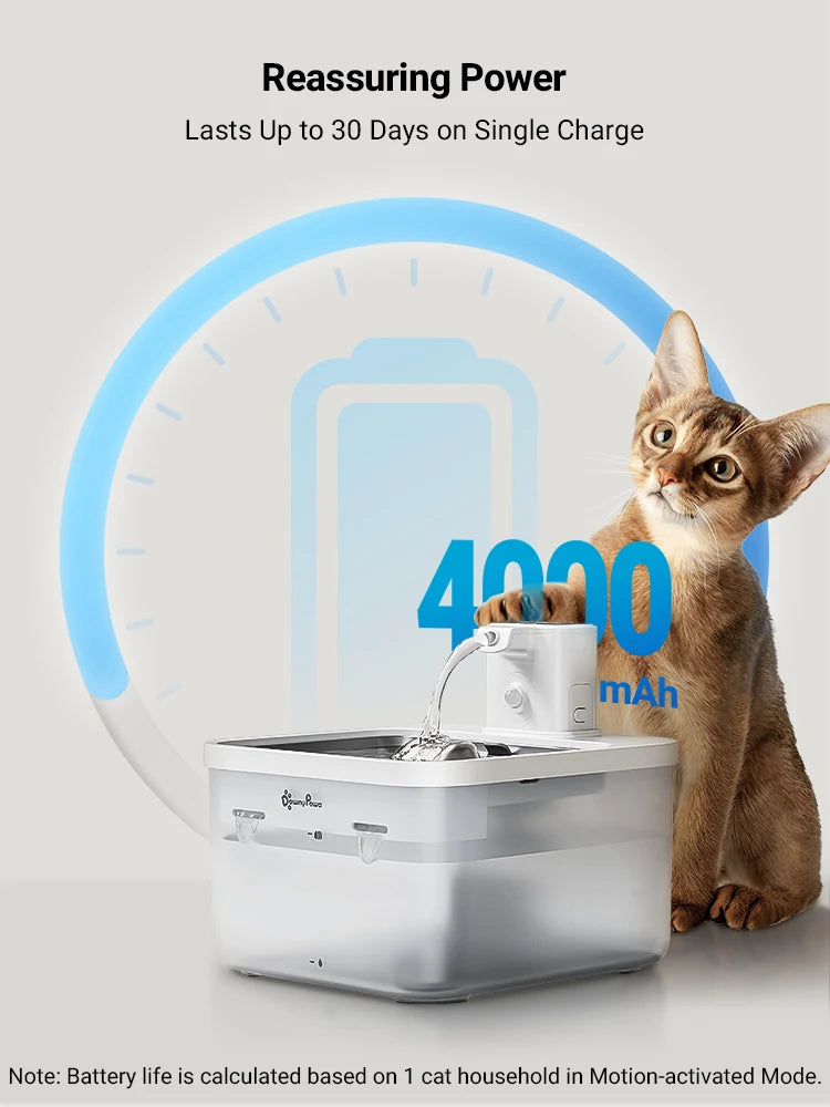 FanzyMarket 2.5L stainless steel cat water fountain with rechargeable battery, wireless design, and motion sensor for fresh pet water.