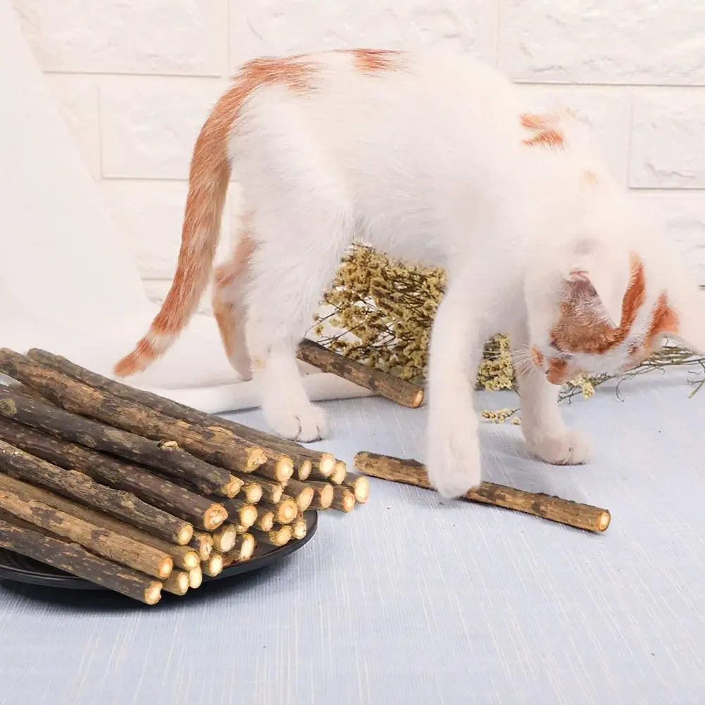 15-pack natural Matatabi Silvervine cat chew sticks for kittens, dental toy for teeth cleaning, by FanzyMarket.