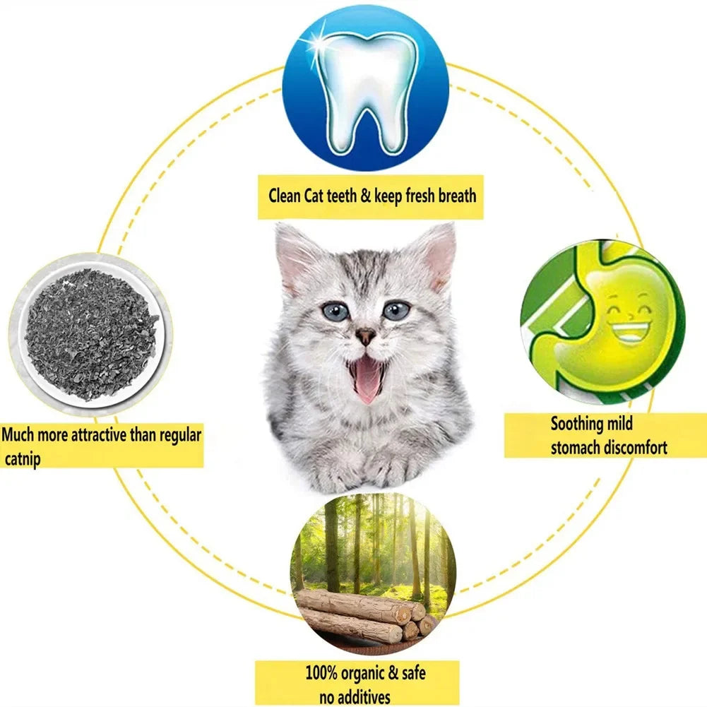 15-pack natural Matatabi Silvervine catnip chew sticks for cats and kittens, 4.7 inches dental treats, pet supplies from FanzyMarket.