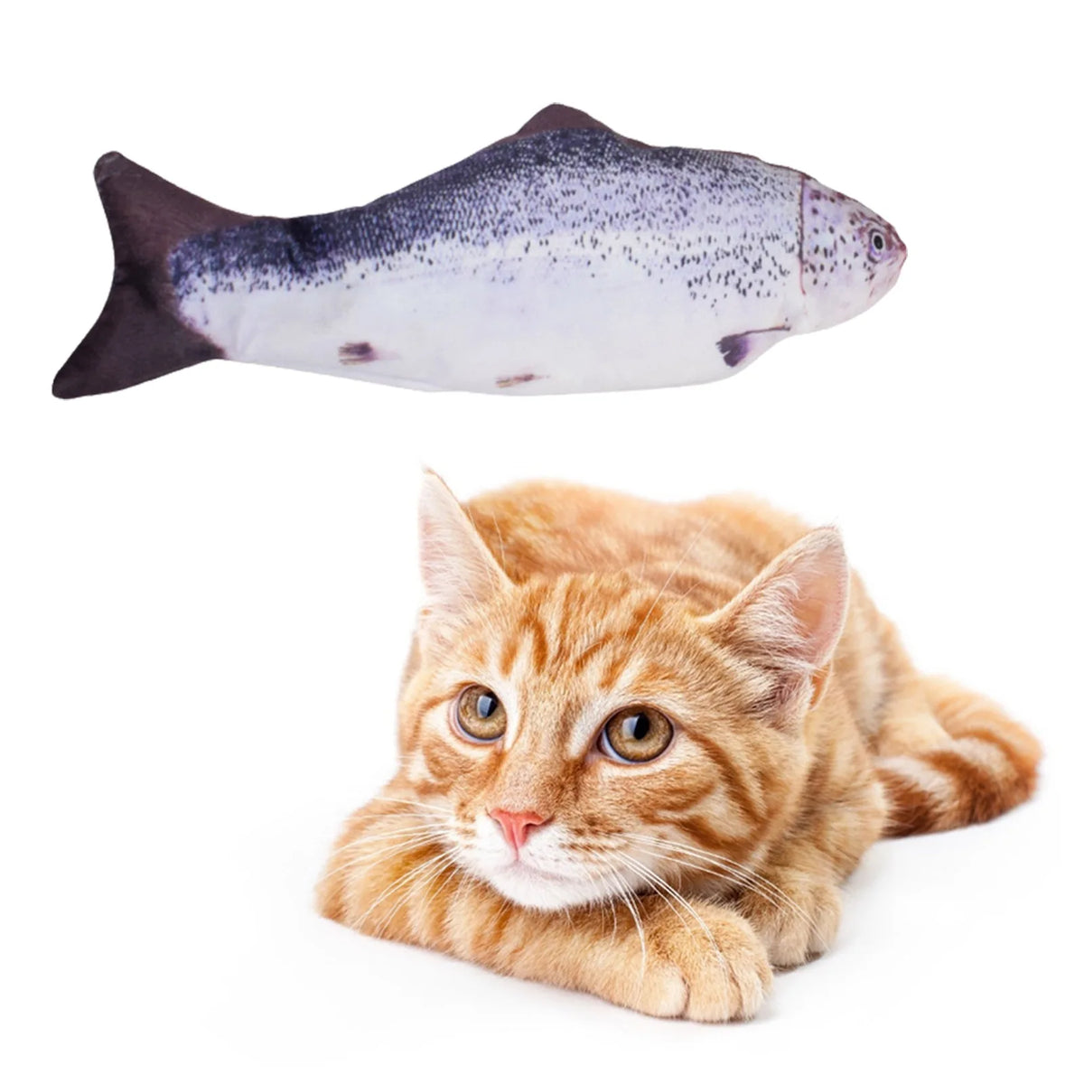 USB rechargeable floppy fish cat toy from FanzyMarket, plush electronic pet toy for cats and dogs with interactive design.