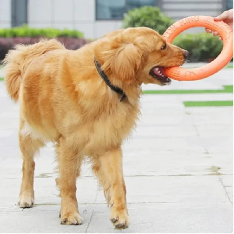 Orange Dog Flying Disc and Training Puller by FanzyMarket, durable EVA chew-resistant interactive toy for puppies and large dogs.