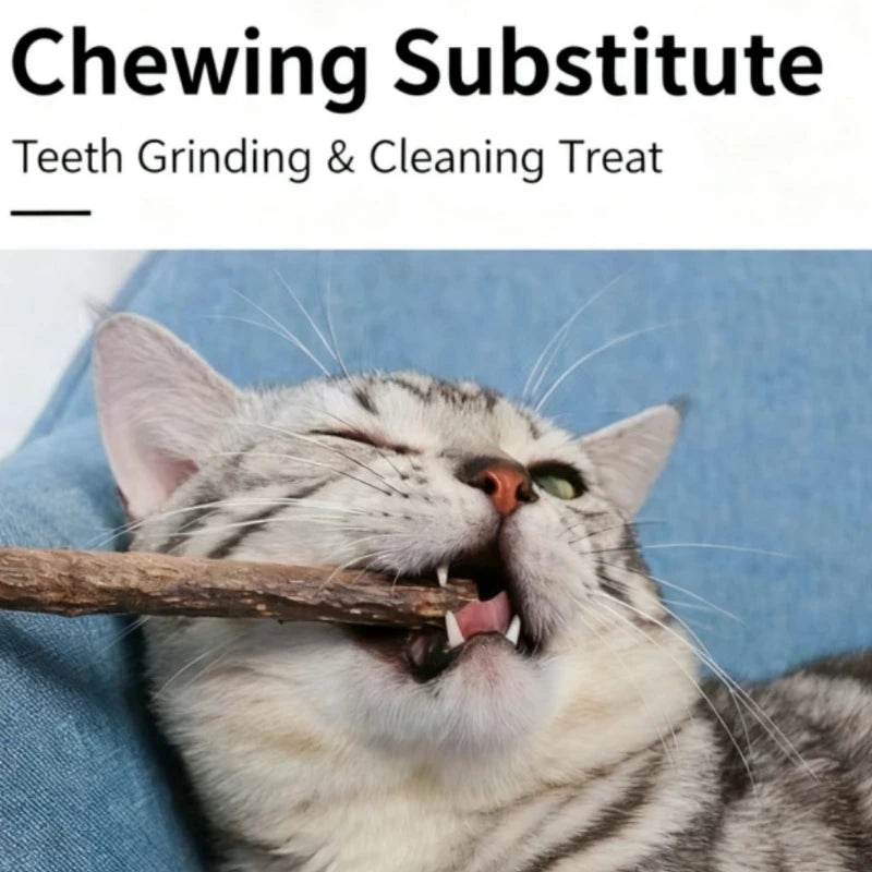 FanzyMarket Natural Woodruff Cat Chew Sticks 20-pack, catnip-like dental toys for kittens and cats, made of natural woodruff.