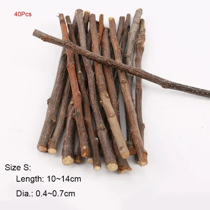 Natural apple wood chew sticks for small pets like hamsters, rabbits, and parrots, in a 5, 10, or 40 pack from FanzyMarket.