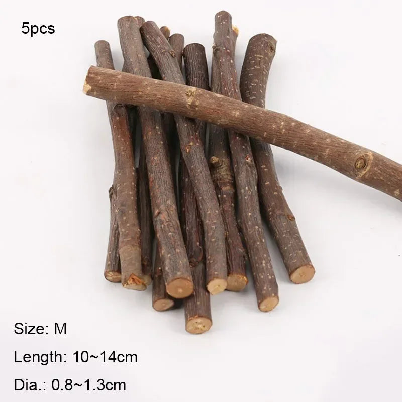 FanzyMarket natural apple wood chew sticks for small pets like hamsters, rabbits, chinchillas, squirrels, and parrots.