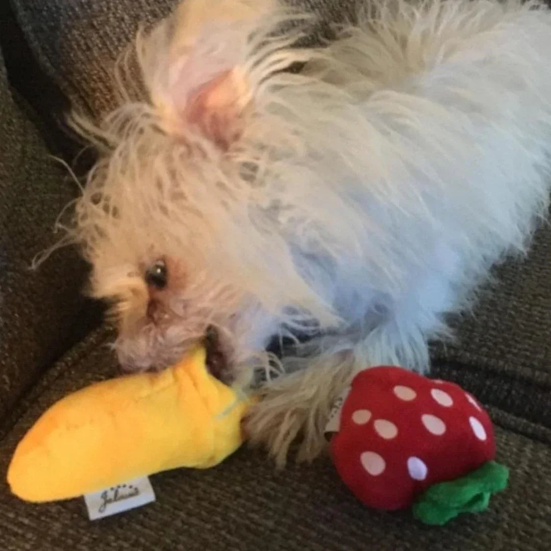 Seven plush puppy squeaky toys set featuring fruit and vegetable shapes, ideal for dogs' chewing and playtime.