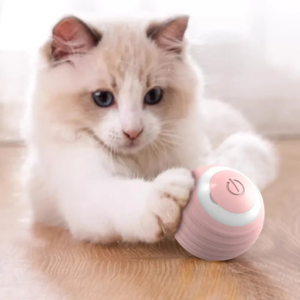 Rechargeable self-moving rolling ball cat toy by FanzyMarket, interactive indoor toy for kittens and cats, designed for fun play.