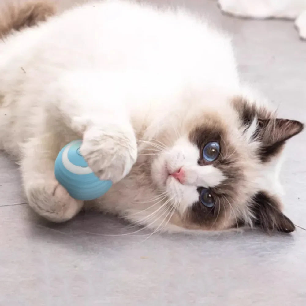 FanzyMarket rechargeable self-moving rolling ball cat toy, interactive indoor toy for kittens and cats, with colorful design and motion.
