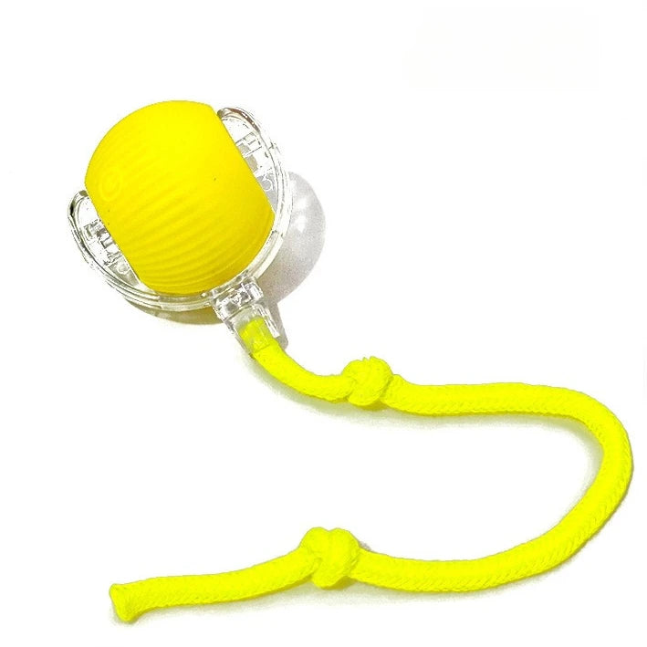 Rechargeable self-moving rolling ball cat toy by FanzyMarket, interactive indoor toy for kittens and cats, fun pet entertainment.