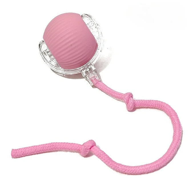 Rechargeable self-moving rolling ball cat toy by FanzyMarket, designed for interactive indoor play with kittens and cats.