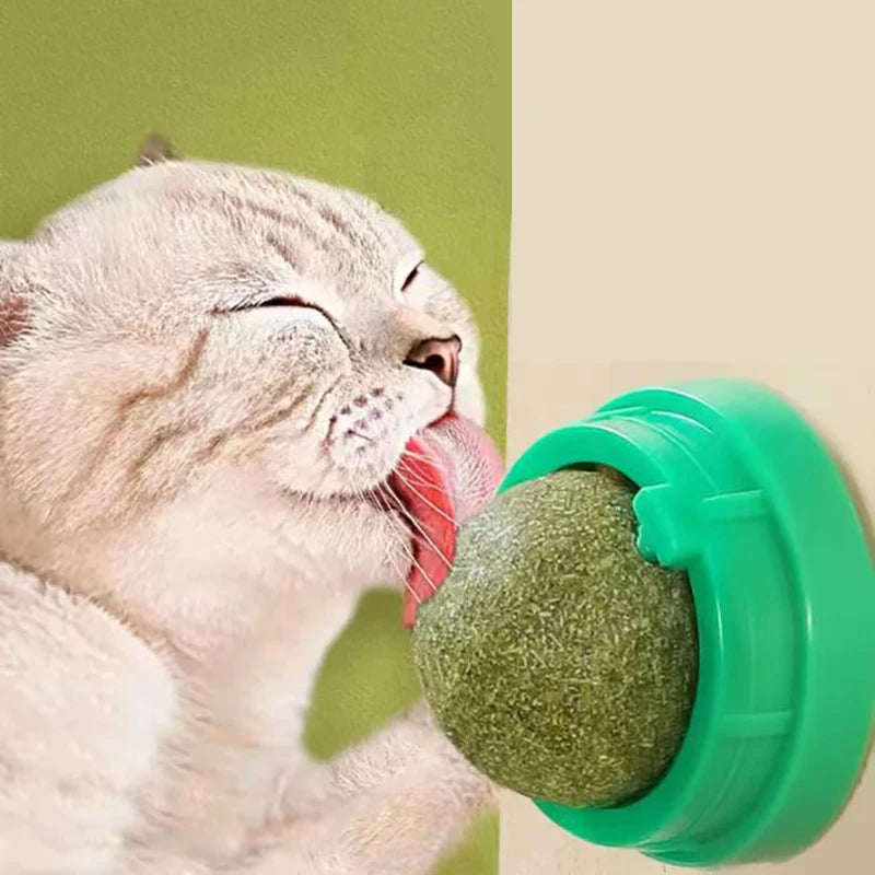 FanzyMarket catnip wall stick-on ball toy for cats, with adhesive surface, designed for scratching and promoting digestion.