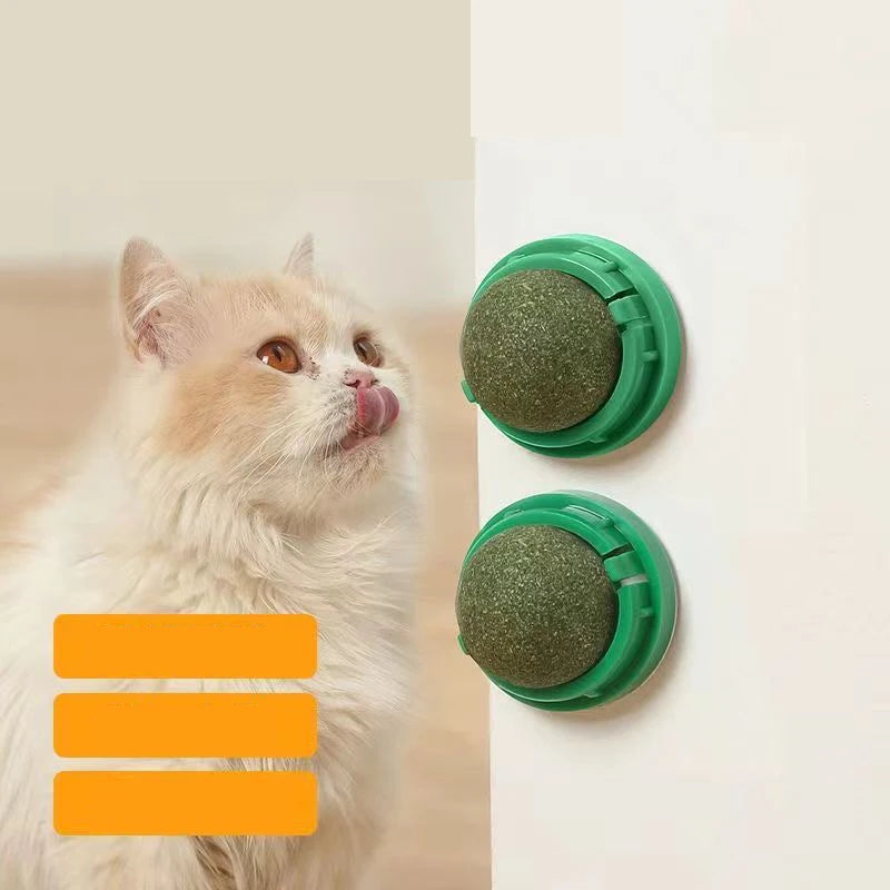 FanzyMarket catnip wall stick-on ball toy for cats, featuring an adhesive ball with cat grass treats for digestion and scratching.
