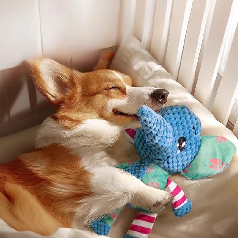FanzyMarket plush dog chew toy with squeaker, bite-resistant and interactive, for teeth cleaning, 27x28 cm.