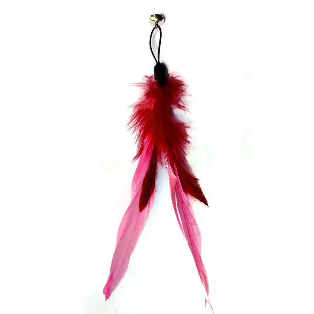 FanzyMarket interactive cat feather toy refill kit with feather birds, faux worm, foam ball, and bell for kittens.