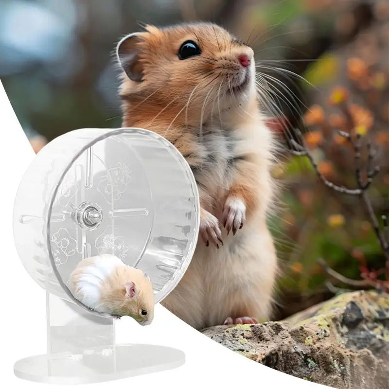 Transparent acrylic hamster wheel, 7.1-inch size, for exercise and play, designed for hamsters and gerbils by FanzyMarket.