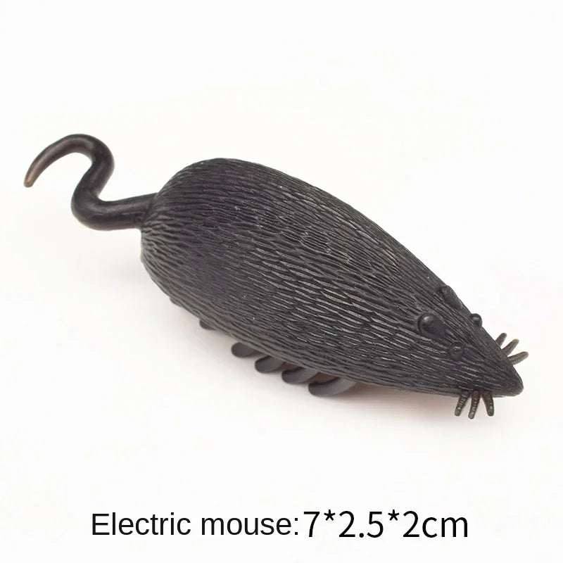 FanzyMarket interactive battery-operated bug cat toy for kittens, green and black with automatic vibration and obstacle avoidance.