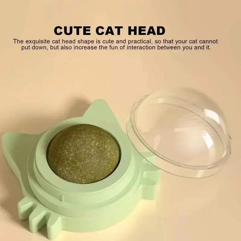 Green catnip ball toy from FanzyMarket, bite-resistant chew toy designed for kittens and cats for self-play and entertainment.