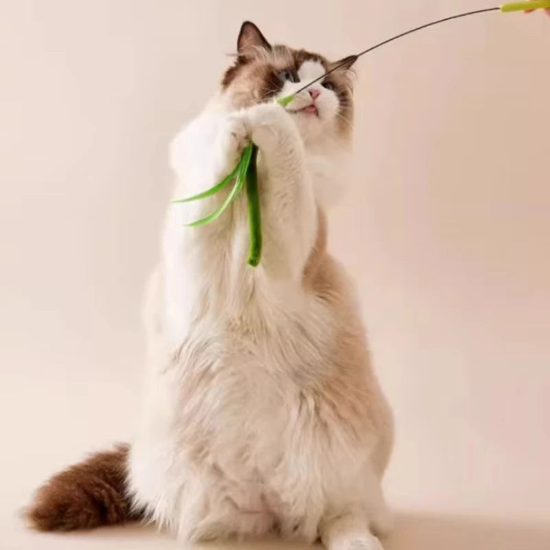 FanzyMarket interactive feather wand cat toy with 50 cm long pole, bite-resistant feathers, and rattle sound for kittens.