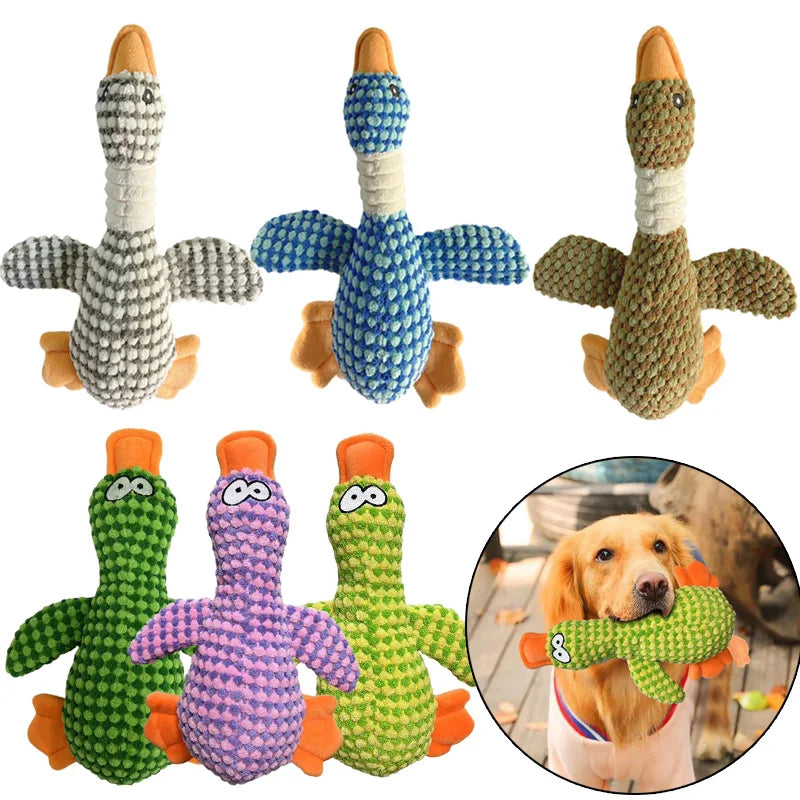 FanzyMarket plush duck squeak dog toy with dental chew design for puppies and dogs in small, medium, and large sizes.