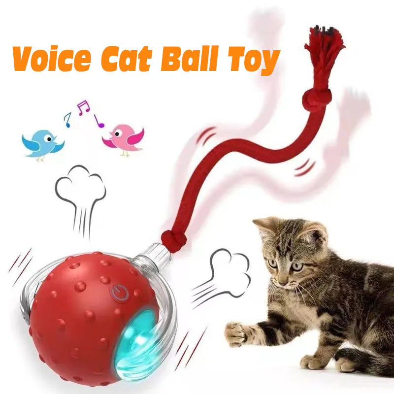 Rechargeable FanzyMarket automatic rolling cat ball toy for cats and kittens, green, interactive, with tail and wake-up feature.