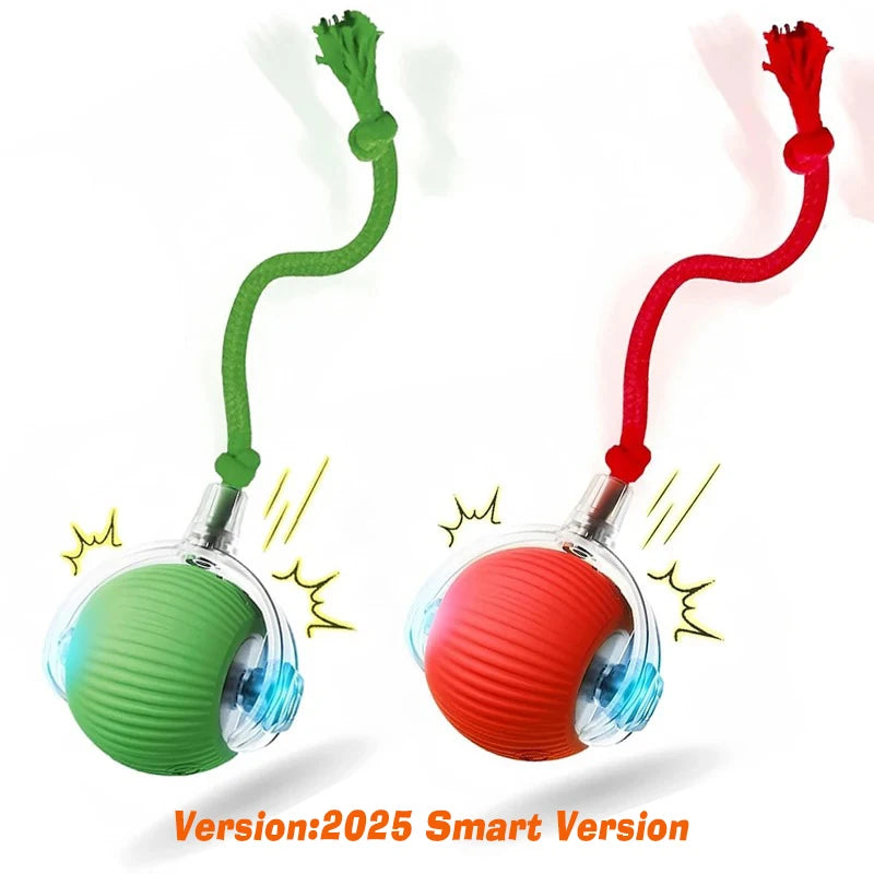 FanzyMarket rechargeable automatic rolling cat ball toy for cats and kittens, green, interactive, and smart pet toy.