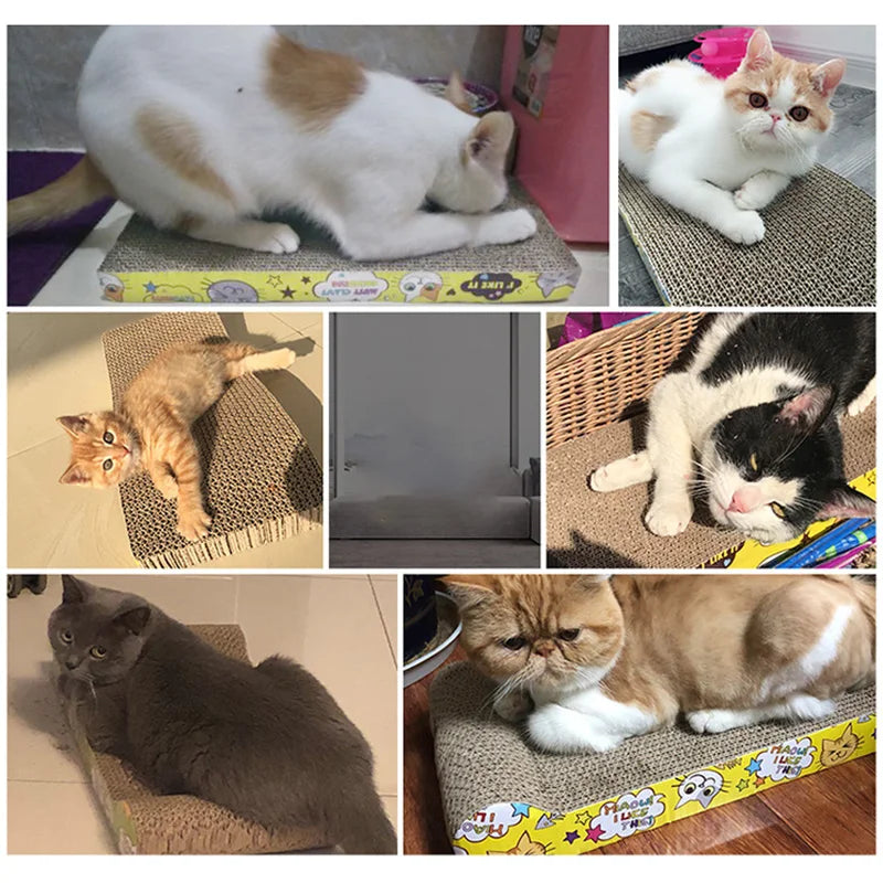FanzyMarket double-sided corrugated cardboard cat scratcher with catnip, designed for sofas, beds, and cushions.