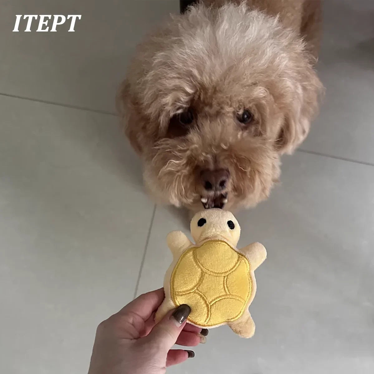FanzyMarket mini turtle plush dog toy for puppies, designed for teething relief and bite-resistant dental chewing.