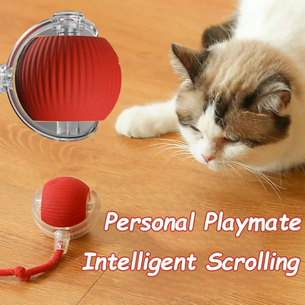 FanzyMarket interactive rechargeable rolling cat ball with faux tail, soft plush toy for cats and small dogs, automatic smart pet toy