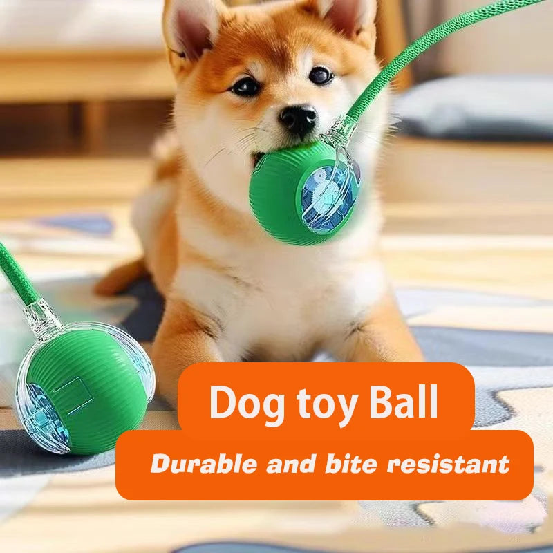 Rechargeable FanzyMarket interactive rolling pet ball for dogs and cats with obstacle avoidance and sound features in red.