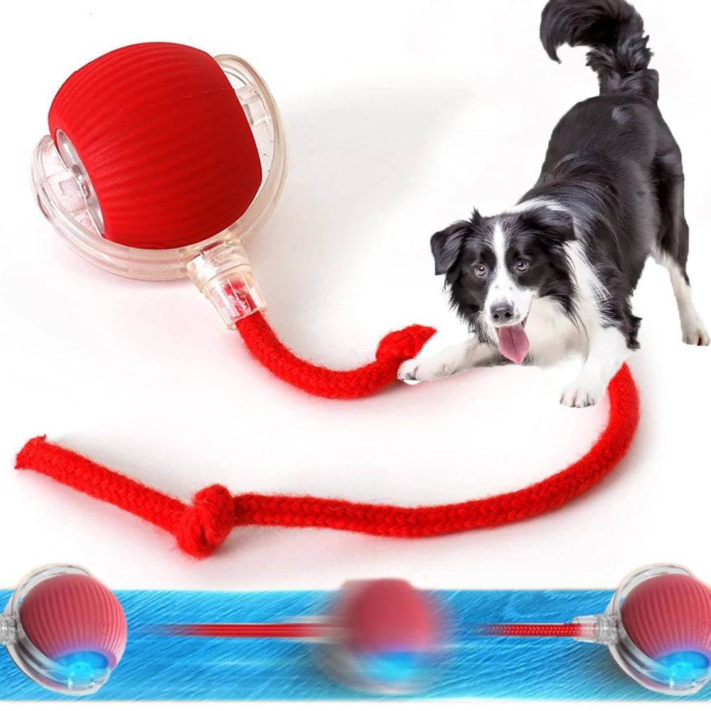 Rechargeable automatic rolling plush pet ball with tail, designed for cats and small dogs, by FanzyMarket.