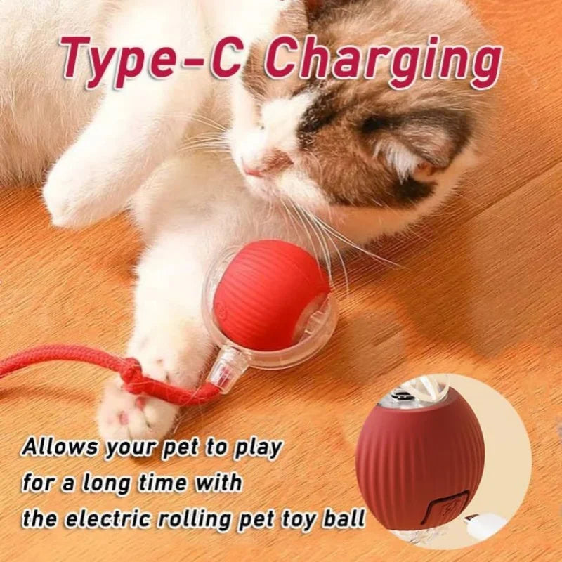 Rechargeable automatic rolling pet ball with plush tail, interactive toy for cats and small dogs by FanzyMarket.