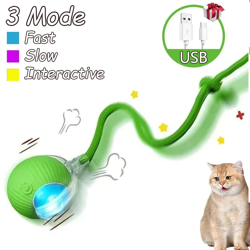 Two rechargeable interactive cat ball toys with faux tails from FanzyMarket, featuring rolling motion and three play modes.