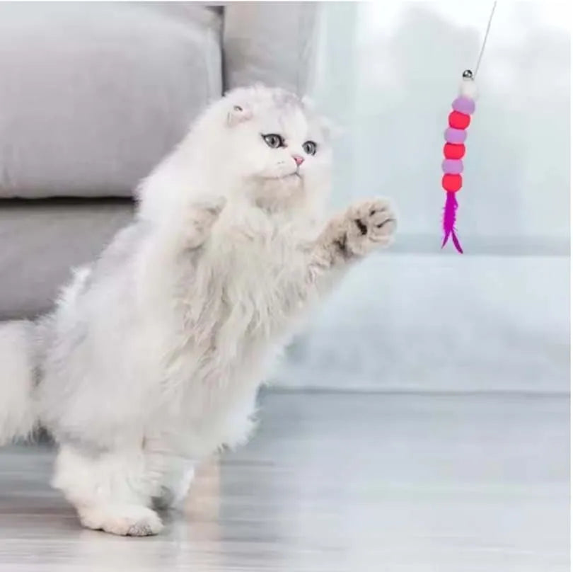 FanzyMarket interactive cat teaser wand with bell and feather toy, designed for kittens and cats to play and chase.