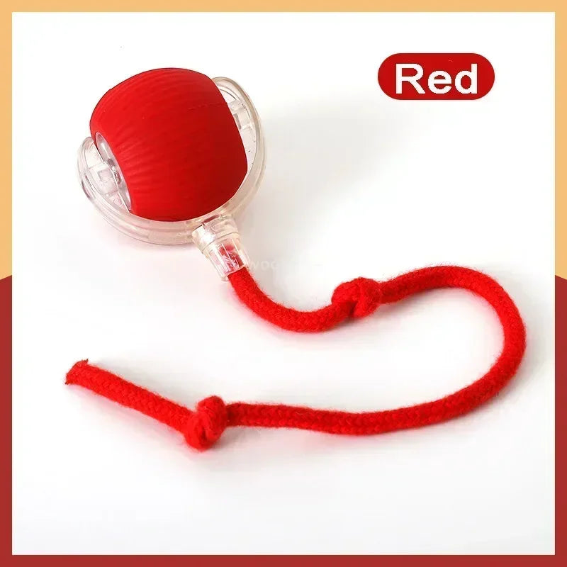 FanzyMarket interactive Speedy Tail Cat Ball Toy with tail, USB rechargeable, dual-speed automatic pet toy for cats.