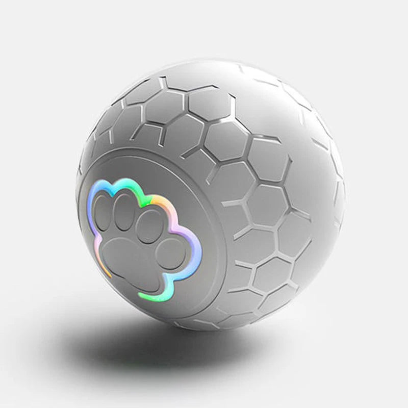 FanzyMarket rechargeable pet toy ball with RGB LED lights, bouncing and rolling automatically for dogs and cats.
