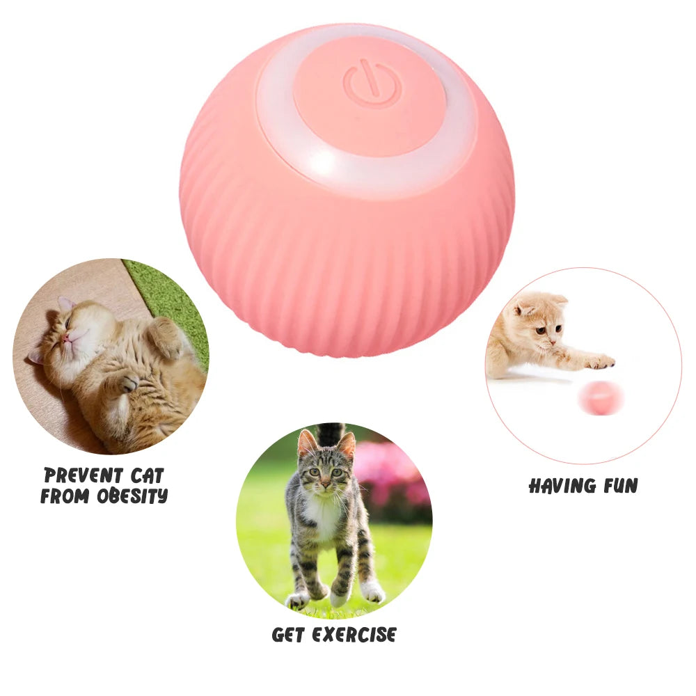 FanzyMarket automatic rolling cat ball toy for indoor play, USB rechargeable pet toy with self-moving feature for kittens.