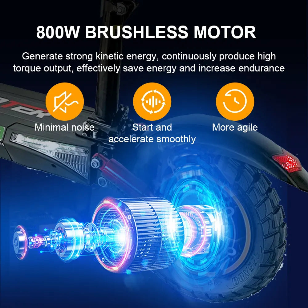 FanzyMarket 800W foldable electric kick scooter with 10-inch off-road tires, showcasing its sleek design and sturdy build.
