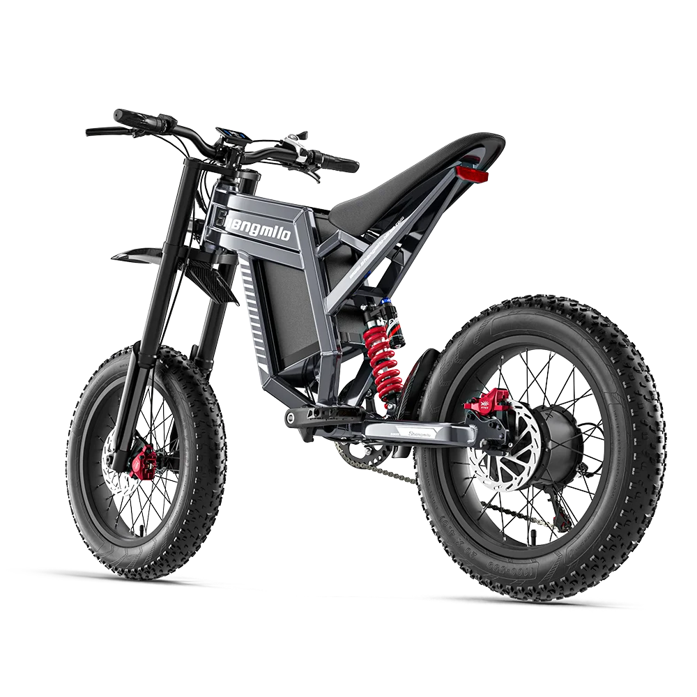 FanzyMarket adult 1500W electric fat-tire mountain ebike with 20-inch wheels, lithium battery, and 50+ km/h speed.