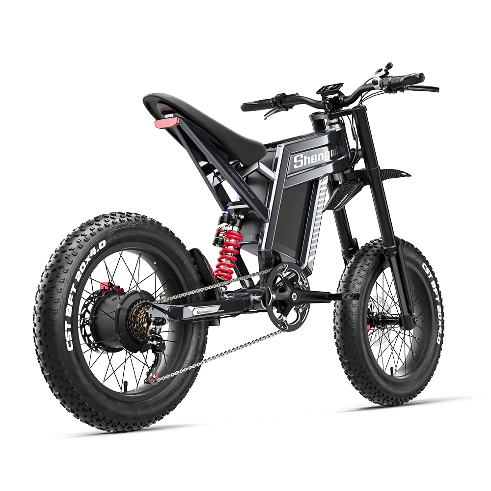 FanzyMarket adult 1500W electric fat-tire mountain ebike with 20-inch wheels, lithium battery, and high-speed off-road design.