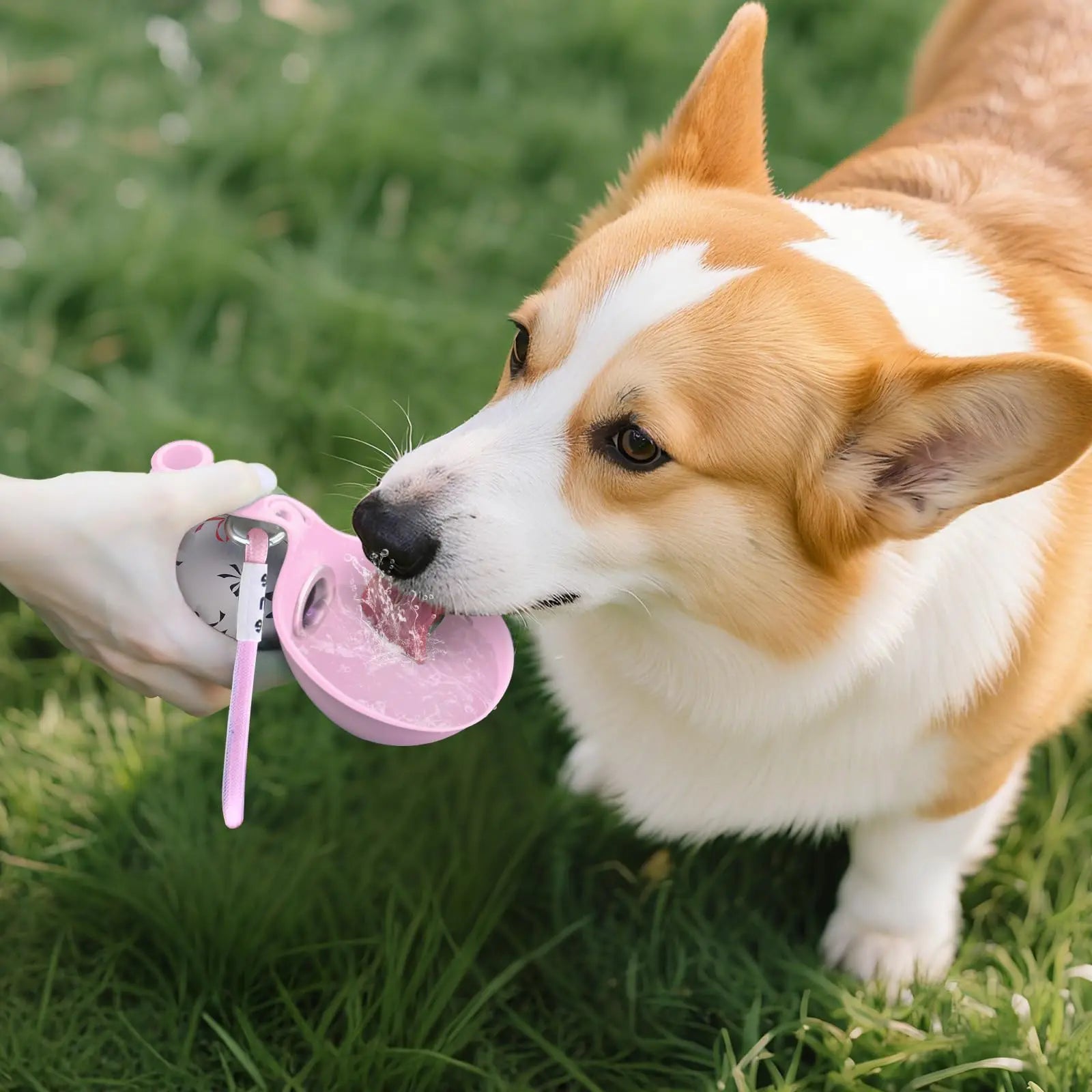 2-in-1 Portable Dog Water Bottle for Small Dogs – Leak-Proof Stainless Steel & Silicone Travel Bottle