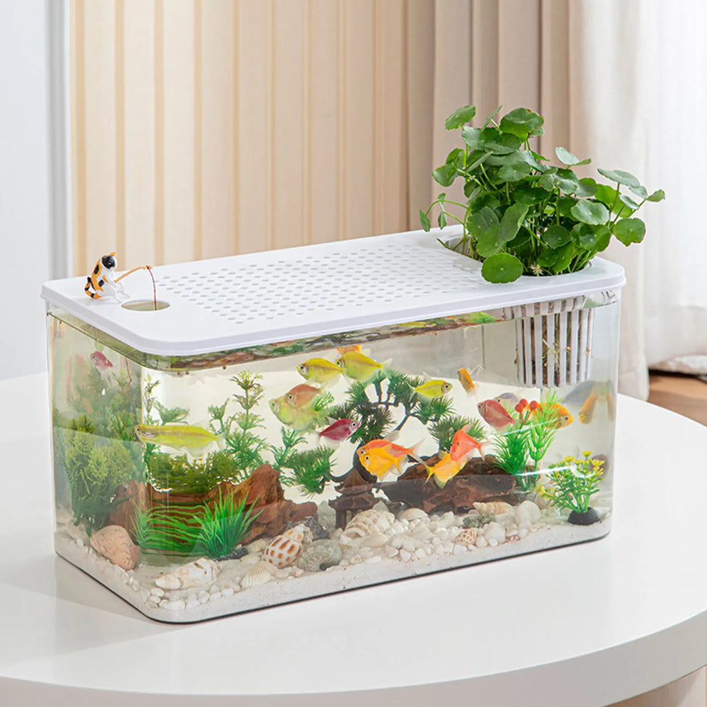 Clear View Reptile Terrarium Breeding Tank — 12.44 x 7.09 x 8.86 in (31.6 x 18 x 22.5 cm) Plastic Habitat for Betta, Crayfish, Frog, Gecko, Snake, Chameleon