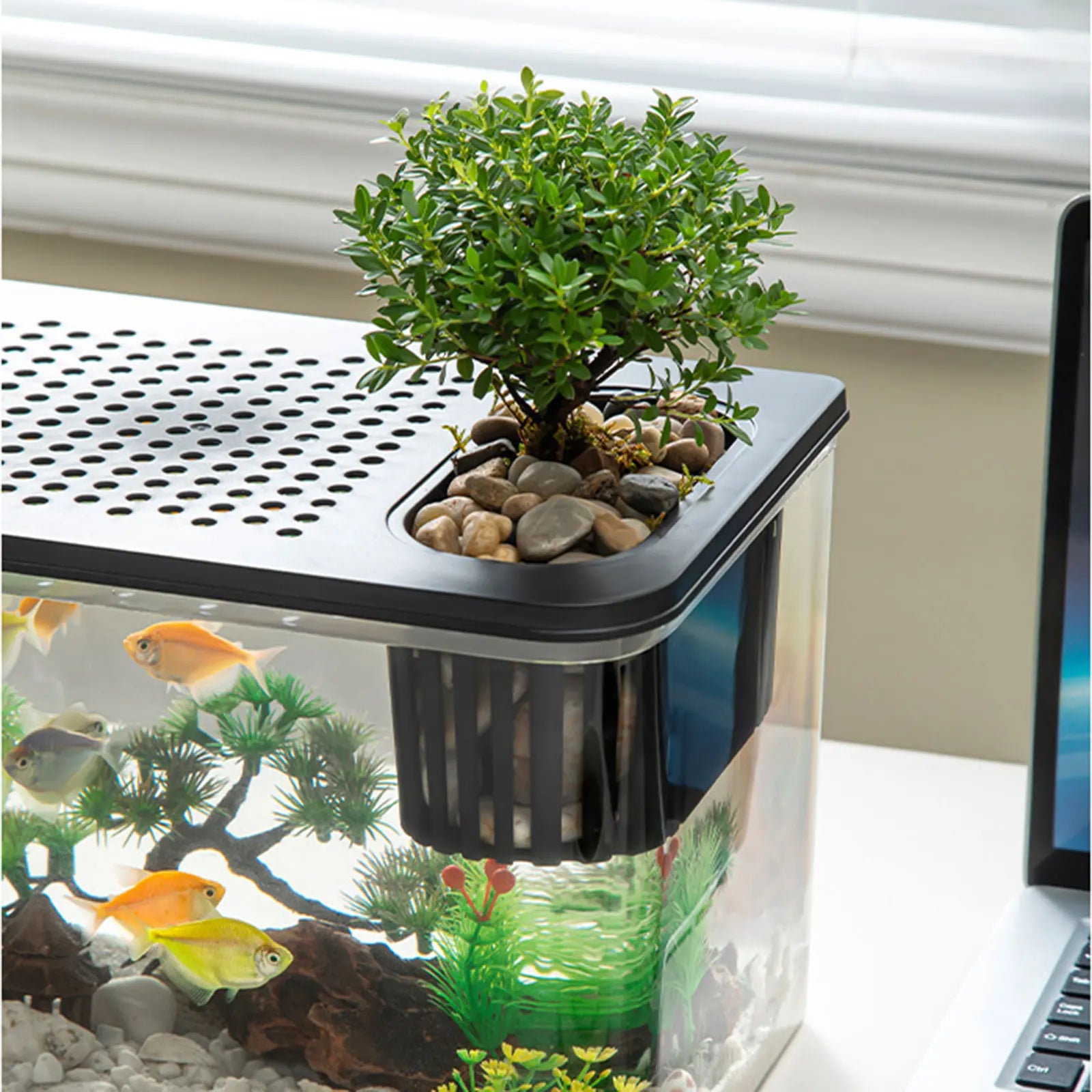 Clear View Reptile Terrarium Breeding Tank — 12.44 x 7.09 x 8.86 in (31.6 x 18 x 22.5 cm) Plastic Habitat for Betta, Crayfish, Frog, Gecko, Snake, Chameleon