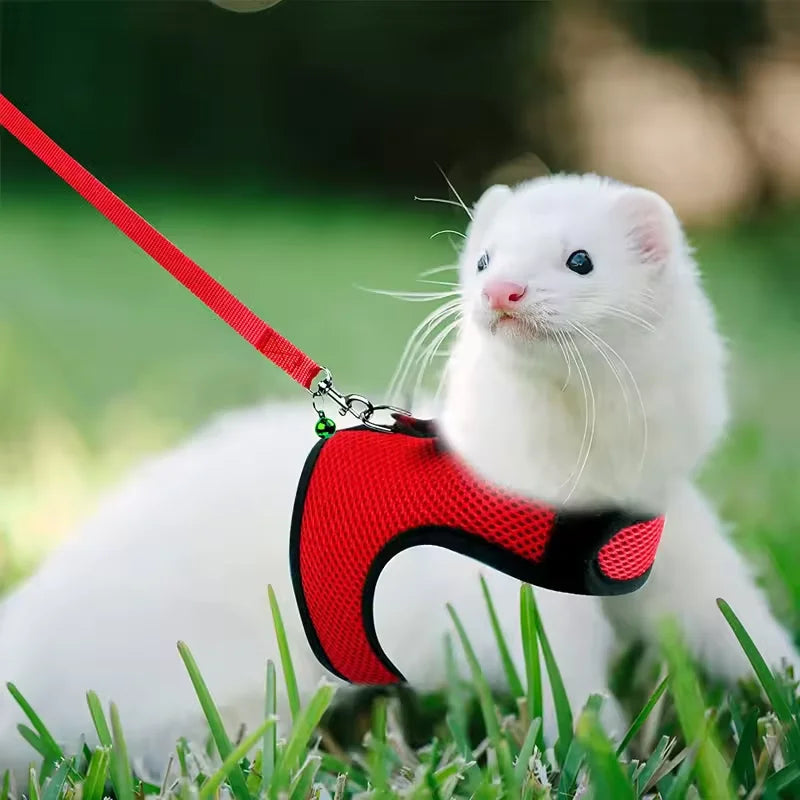 Breathable Mesh Vest Harness with Adjustable Soft Straps & Elastic Leash for Rabbits, Cats & Small Pets