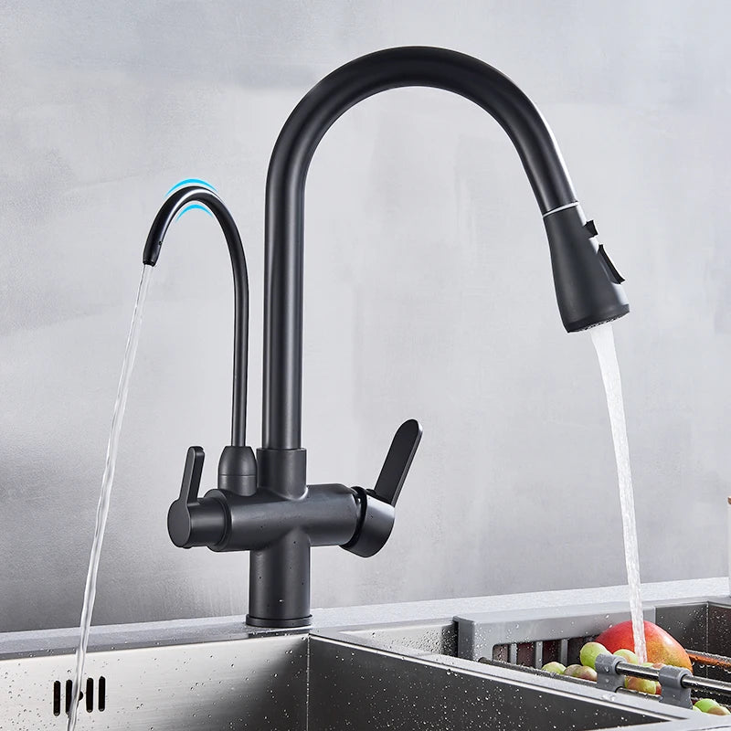 Black 360° Rotating Kitchen Faucet with Pull-Out Sprayer – 3-Way Filtered Hot & Cold Mixer Tap
